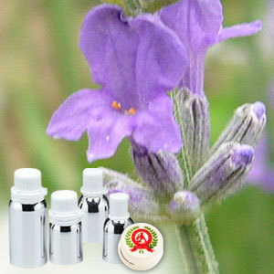 Lavender Absolute Extra Oil